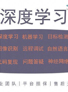 python深度学习机器学习编写和指导matlab编写图像处理复现