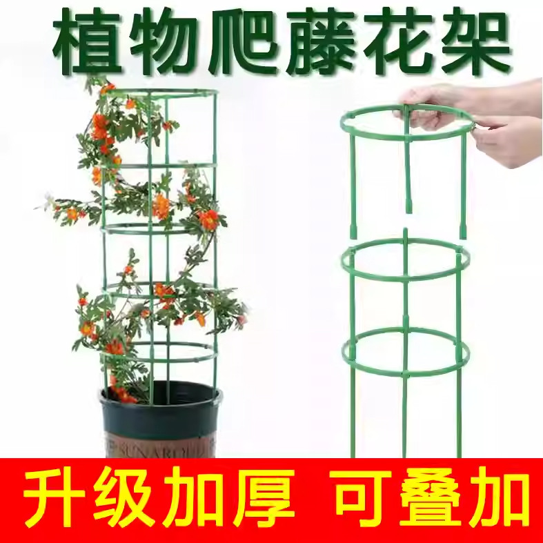 植物支撑杆园艺支架花架爬藤支架室内阳台户外绿萝蟹爪兰固定支架,鲜花速递/花卉仿真/绿植园艺,花托/移动托盘,淘宝优惠券,粉丝福利购,淘宝优惠卷