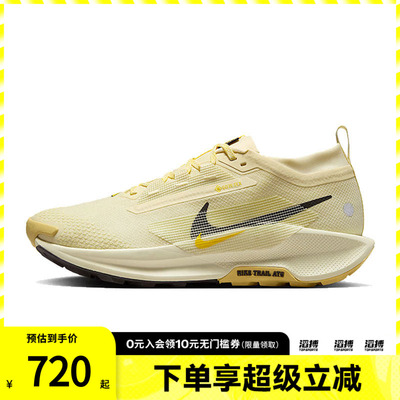 NIKE耐克男鞋NIKE PEGASU运动训练跑步鞋FQ0908-700