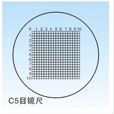 C5 目镜测微尺/网形目镜尺F/物镜测微尺/镜台测微尺