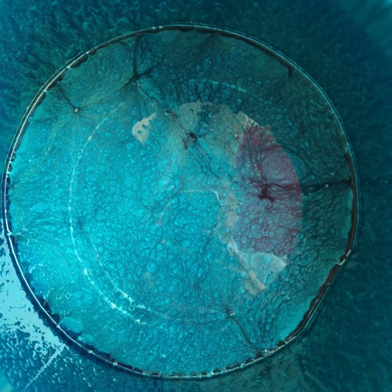 防盗门锤纹漆金属漆质感油u漆家用铁门防盗门锤纹漆油漆防锈漆调