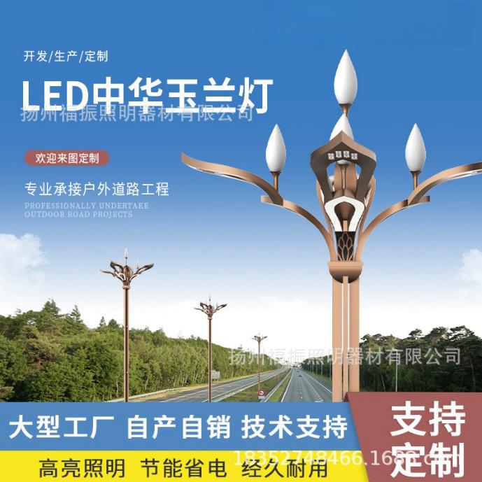 玉兰灯中华灯6米-12米八叉九火常规大型景观灯市政工程道路照明