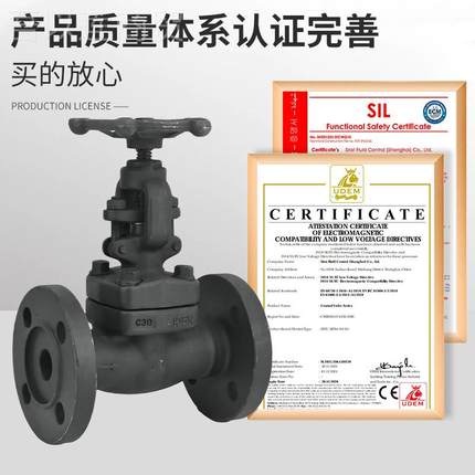 Z41法H-16/025/4C耐高温高压RBR阀蒸汽导热油A105锻钢兰闸DN20 25