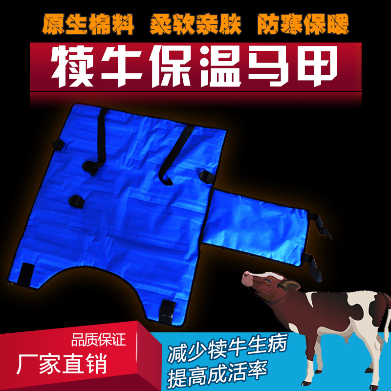 牛犊防寒马甲犊牛保温衣服保暖牛犊子棉衣给牛穿的防寒服初生小牛