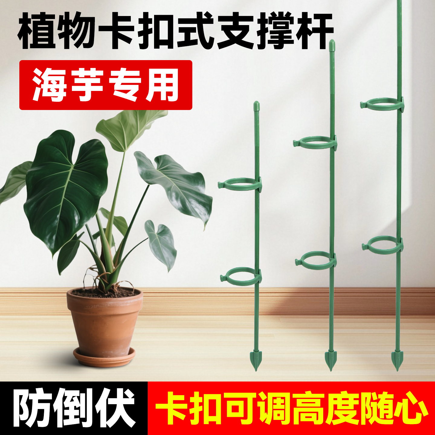 海芋专用支撑杆防倒伏彩叶芋
