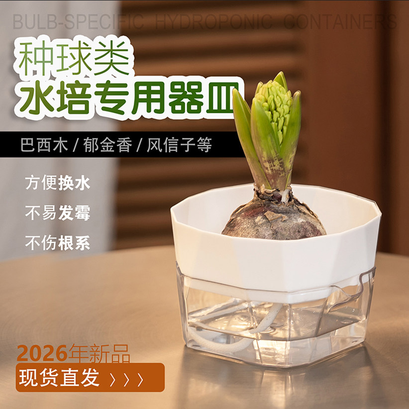 透明自吸水培花盆种球专用图片