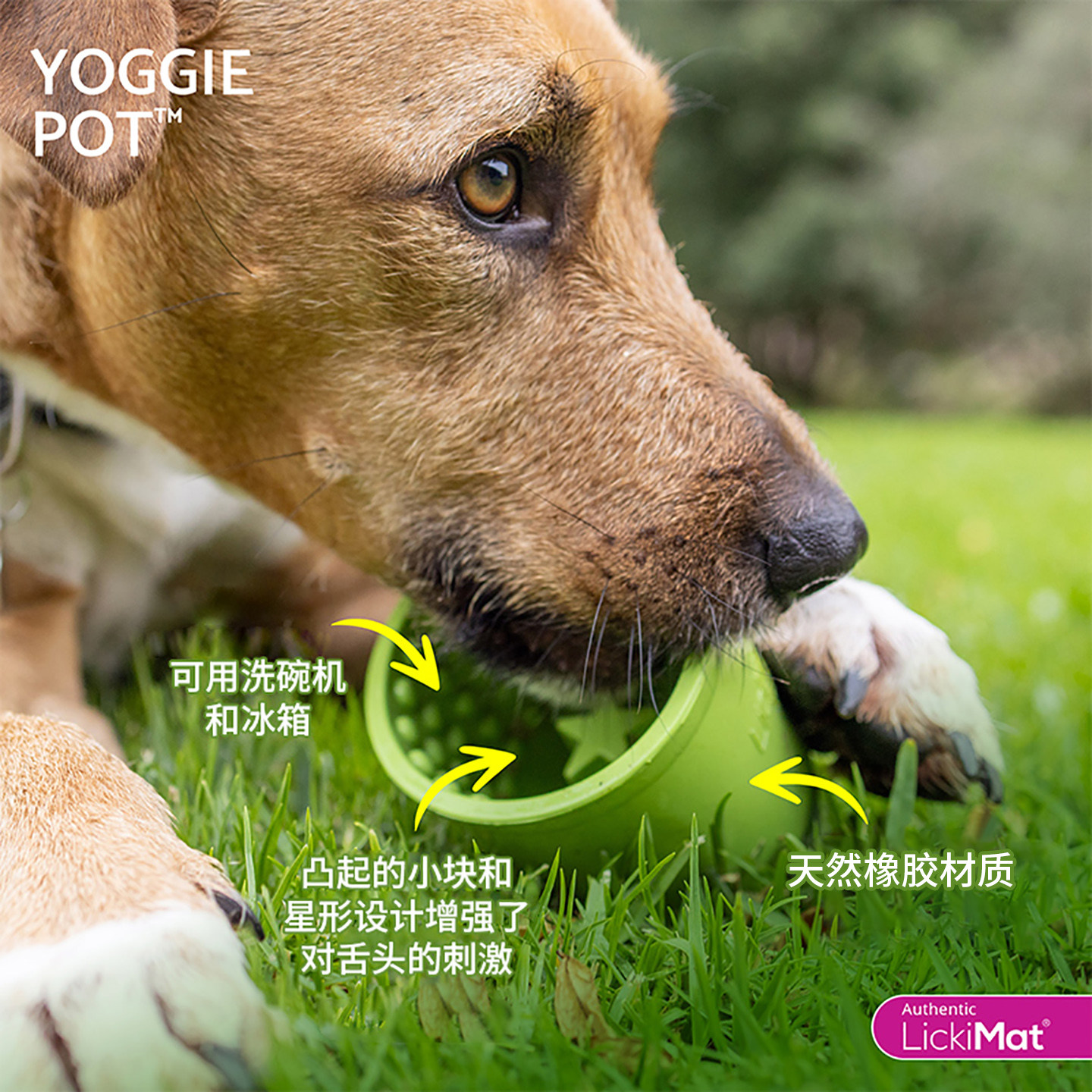 LickiMat狗碗玩具耐咬橡胶磨牙益智丰容嗅闻藏食宠物自嗨