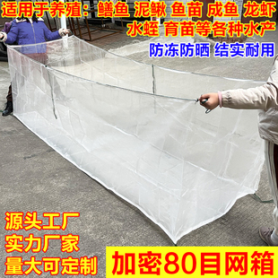 10目80目加厚养殖网箱黄鳝泥鳅水蛭鱼苗孵化产卵育苗钓鱼存鱼网箱