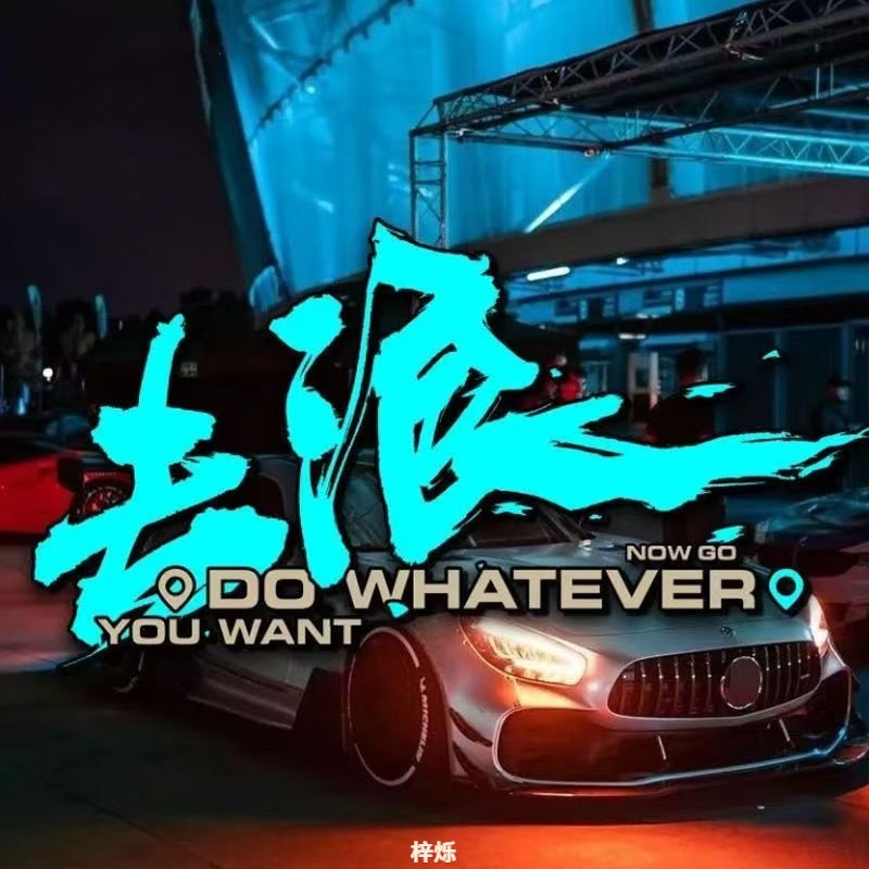 去浪车贴汽车个性创意车身侧窗