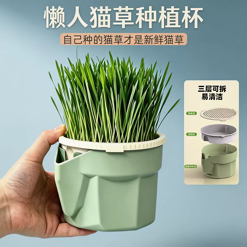 懒人猫草水培盆杯盒种植排毛球