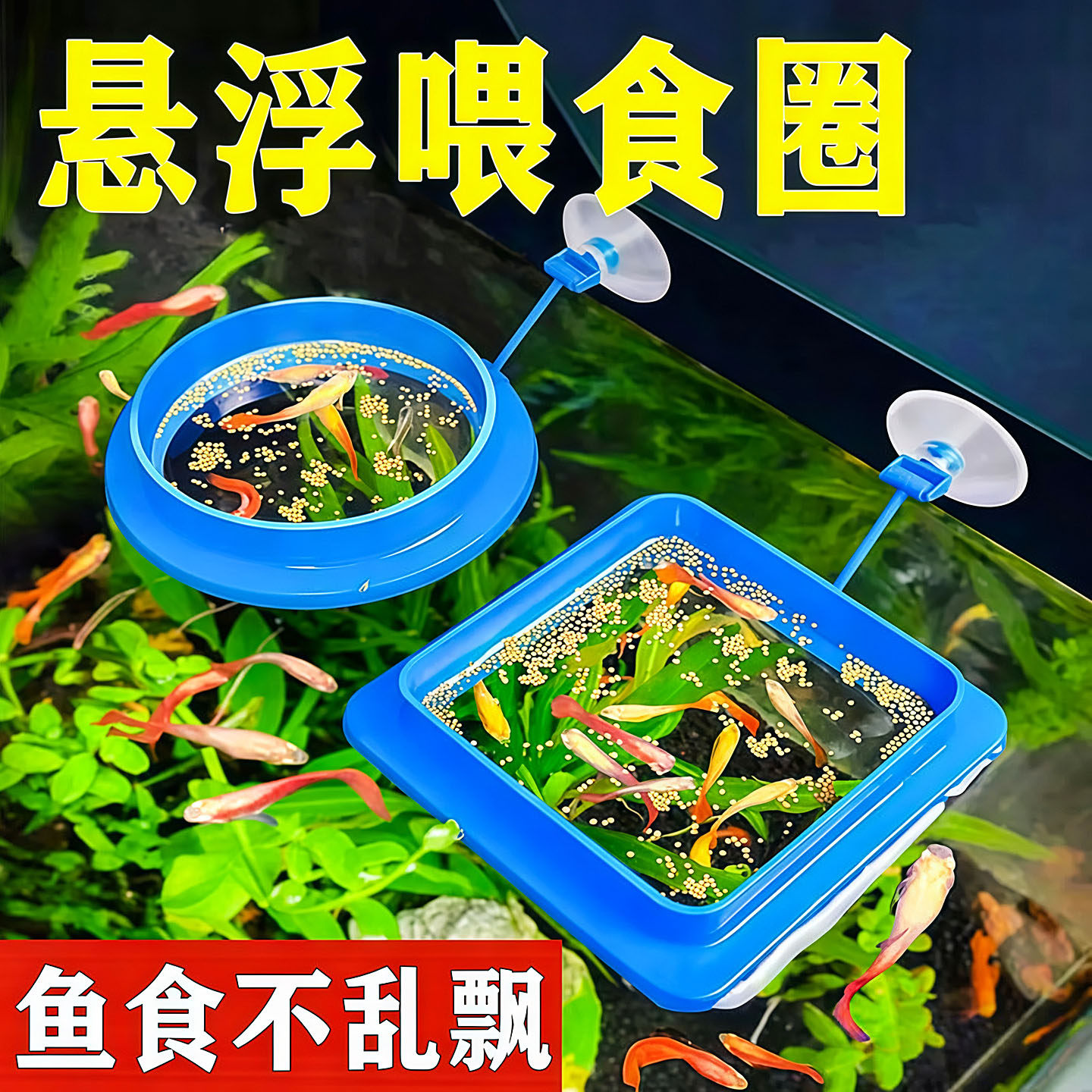 鱼缸喂食器投食器投食圈鱼食防散