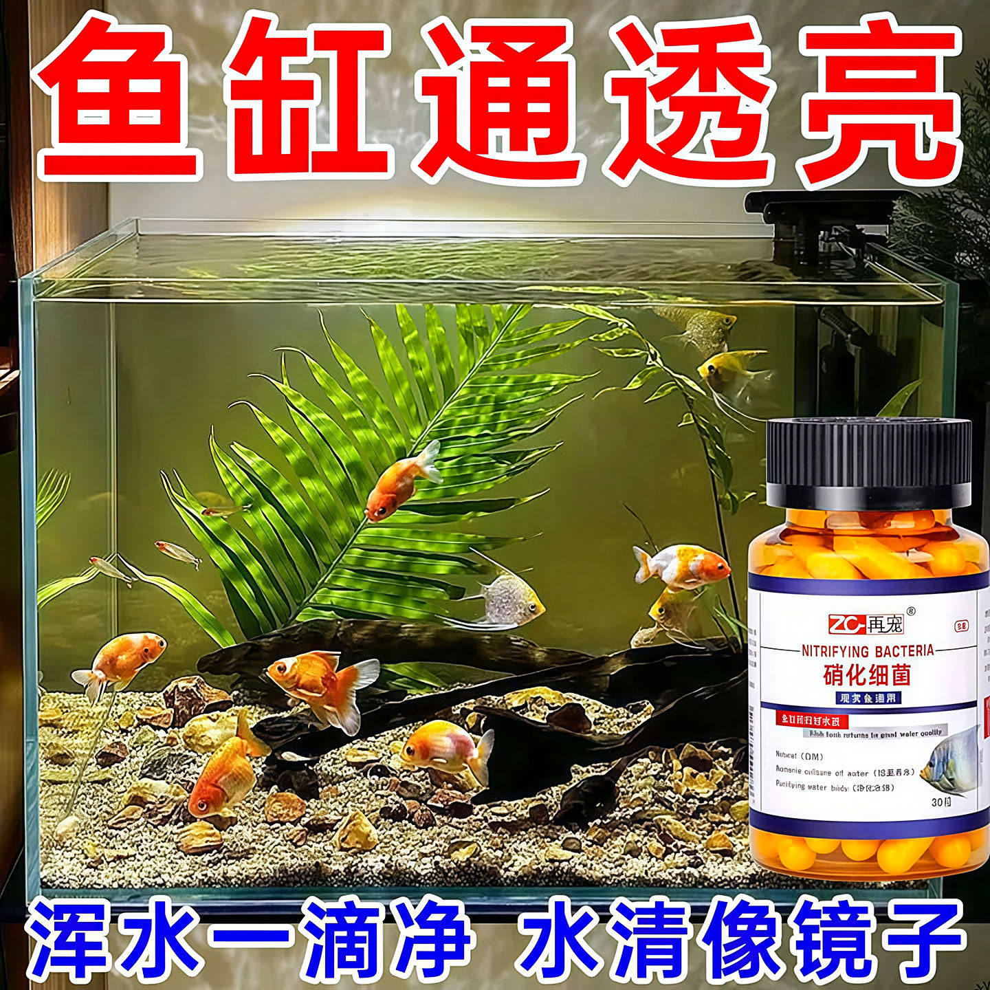 硝化细菌鱼缸专用水族箱乌龟缸