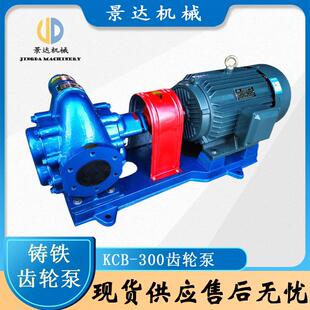 定制KCB齒輪油泵 200自吸抽油泵 鑄鐵135 柴油潤(rùn)滑機(jī)油齒輪油泵