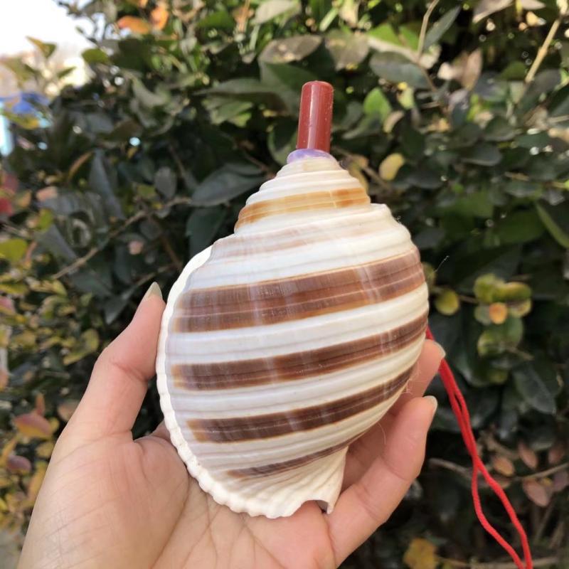 天然海螺号角可吹喇叭口哨贝壳哨子儿童玩具哨小螺号能吹响的