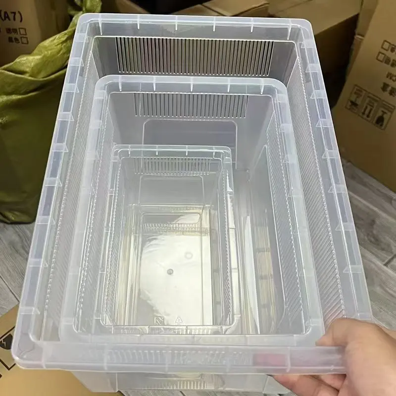 r3属睫角守宫树栖蛇抽屉盒爬虫饲养盒蜘蛛r4蜥蜴角蛙r5养殖箱