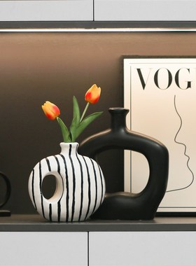 陶瓷花瓶摆件客厅插花轻奢高级感黑白简I约超好看设计感小众装饰
