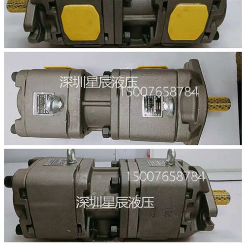 HG22-125-125-01Rq-VPC-P-36伺服油泵CP22-100-100-P-10双联齿轮