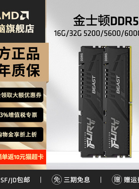 金士顿野兽 5600/6000 16GB/32GB DDR5台式机超频RGB EXPO内存条