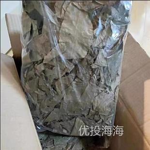 修水青钱柳原叶青钱柳江西青钱柳金钱柳