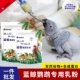 鹦鹉奶粉蓝鲸虎皮牡丹玄风幼鸟零天手养营养食物乳粉饲料雏鸟食品