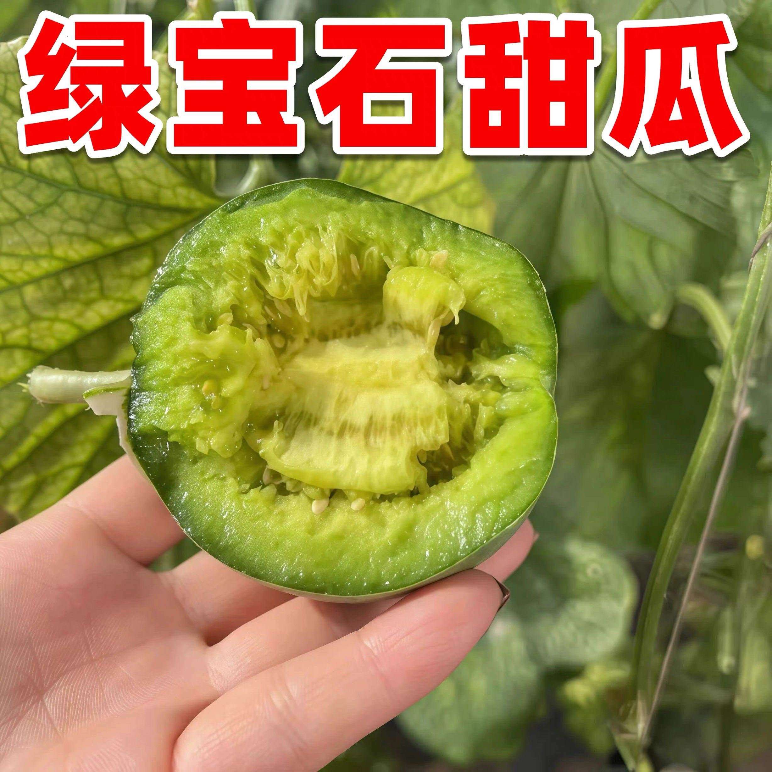 绿宝石甜瓜种子春季家庭阳台盆栽蔬菜水果种籽香瓜蜜瓜高产易种