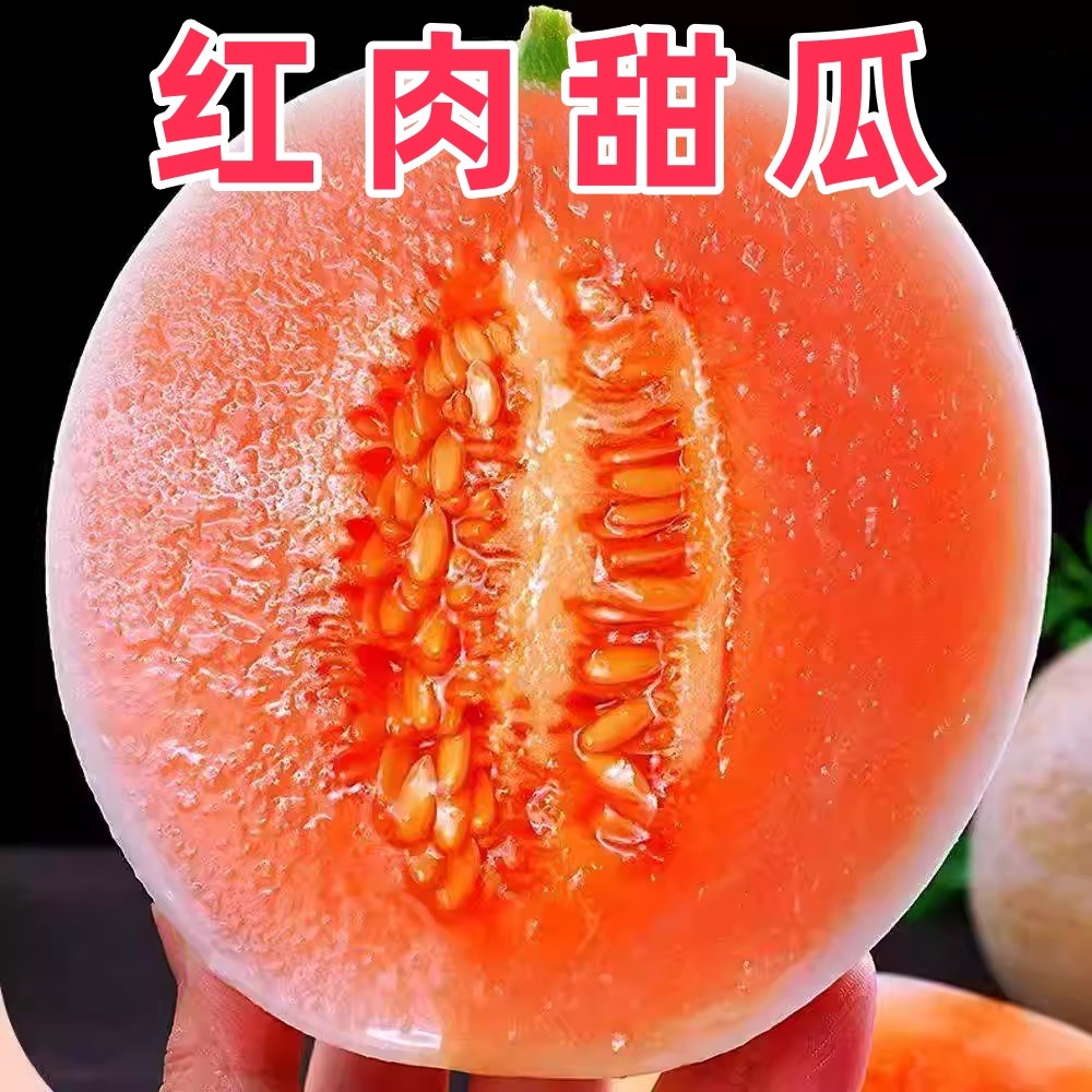 银香玉红肉甜瓜种子早熟清甜酥脆含糖量高超甜优质白皮红肉甜瓜籽,鲜花速递/花卉仿真/绿植园艺,种苗/半成品盆栽,淘宝优惠券,粉丝福利购,淘宝优惠卷