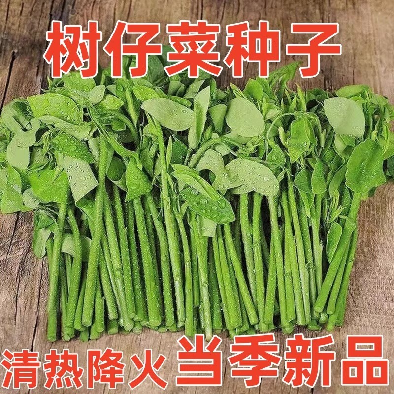 树仔菜新鲜潮汕菜酒楼特色