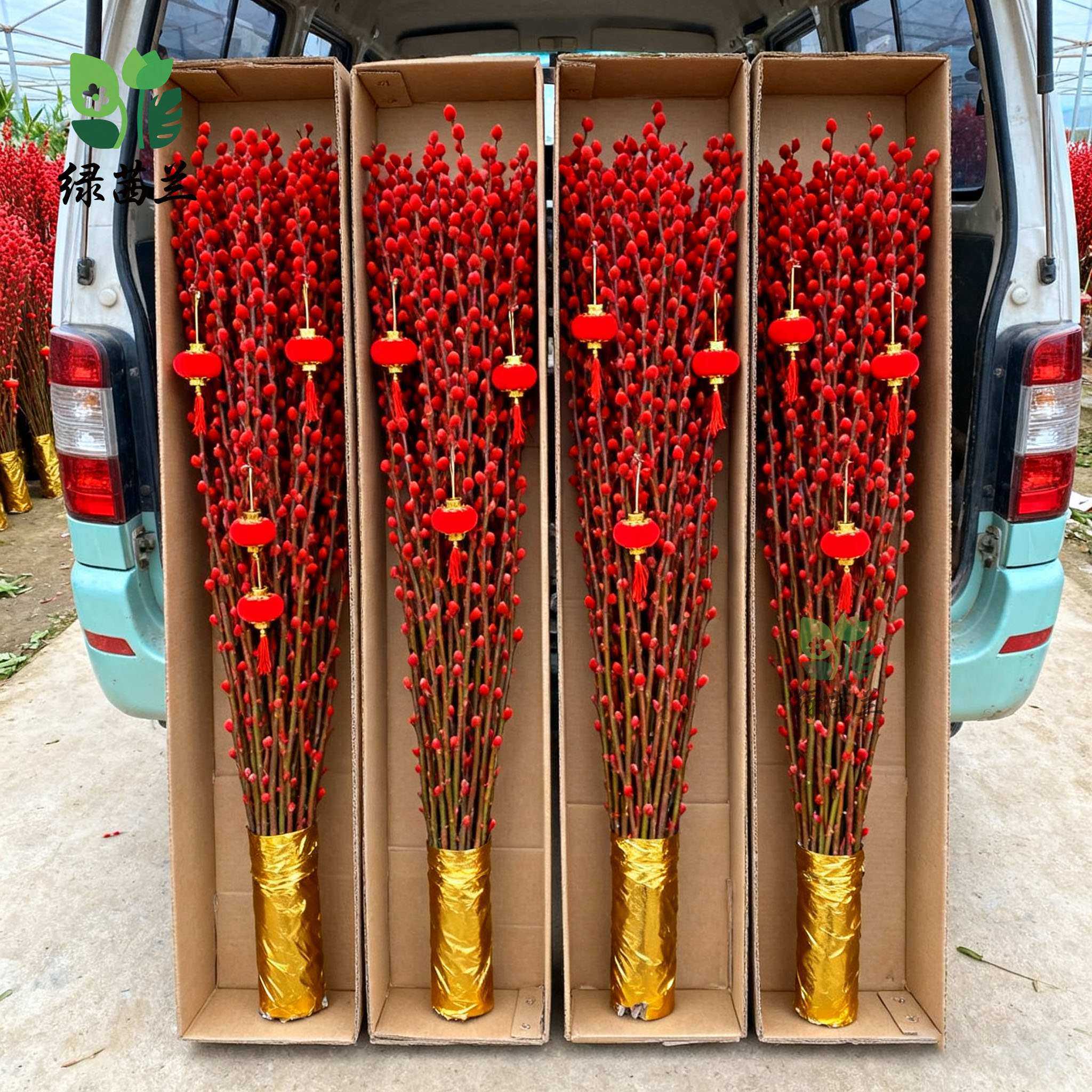 银柳真花鲜枝年宵花卉七多彩大红色银柳干花柳枝水养装饰招财1米2,鲜花速递/花卉仿真/绿植园艺,藤本/攀援植物,淘宝优惠券,粉丝福利购,淘宝优惠卷