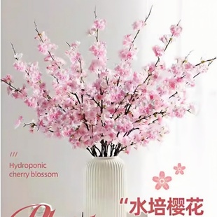 水培植物新鲜樱花桃花树枝干枝珍珠李鲜花卉室内鲜切水养绿植盆栽