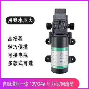 电动喷雾水泵12v电机高扬程隔膜泵小型铜芯24V清洗机增压泵