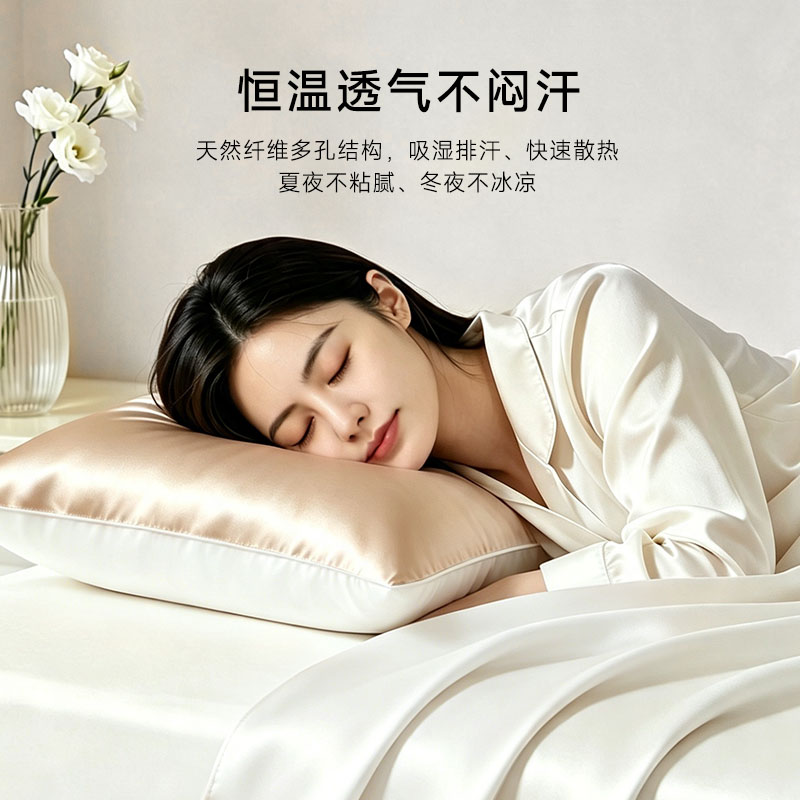 丝绸之路真丝枕套100% 双宫茧桑蚕丝枕巾成人夏季冰丝枕头套48*74