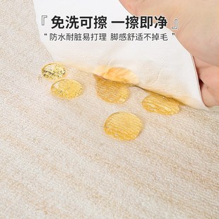 轻奢高u级沙发地垫卧室家用床边免洗可擦简约加 地毯客厅2024新款