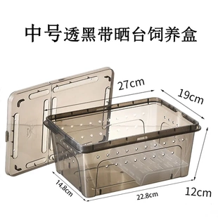 中号带晒台造景盒养乌龟专用缸幼龟饲养箱两栖盒带盖角蛙盒