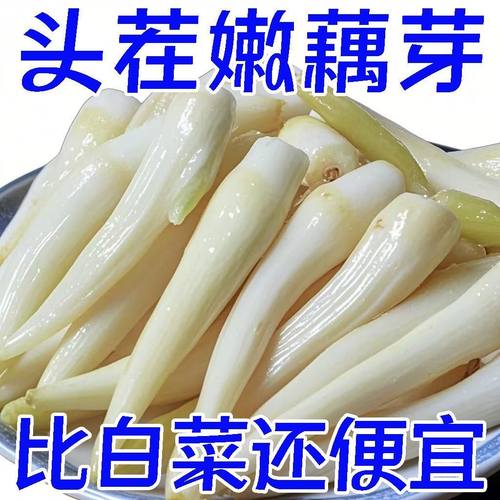 酸辣泡藕芽开胃洪湖泡椒藕带湖北特产开袋即食农家泡菜新鲜藕尖