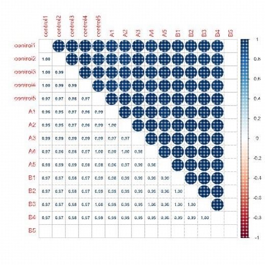 matlab代码帮做python代编神经网络深度学习算法电气通信彷真覆现