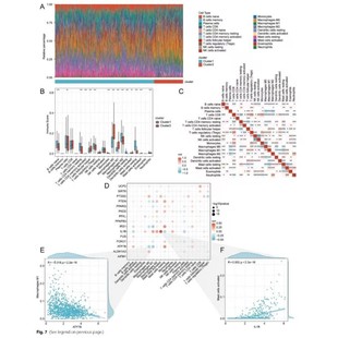 生信分析铁死亡 铜死亡 细胞焦亡 热点方向 快速发文