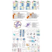 基因表达谱数据去卷积bulk数据推断细胞比例生信分析
