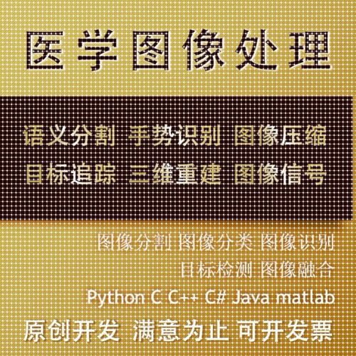 matlab医学图像处理分割代编图像识别python图像深度学习语义分割