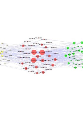 生信分析一条龙服务GEO/TCGA数据挖掘SCI文章图表