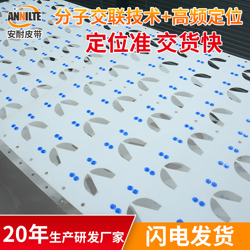 厂家直供食品级自动水饺机输送带定位准确异形打孔饺子输送带