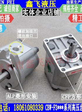 CBW-F306-ALP高压齿轮泵F304 F310 CFP AFP F308-CLPL TFZL  CFH
