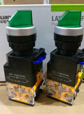 双科电气 带灯型二档选择旋钮开关 LAY5022D11XD