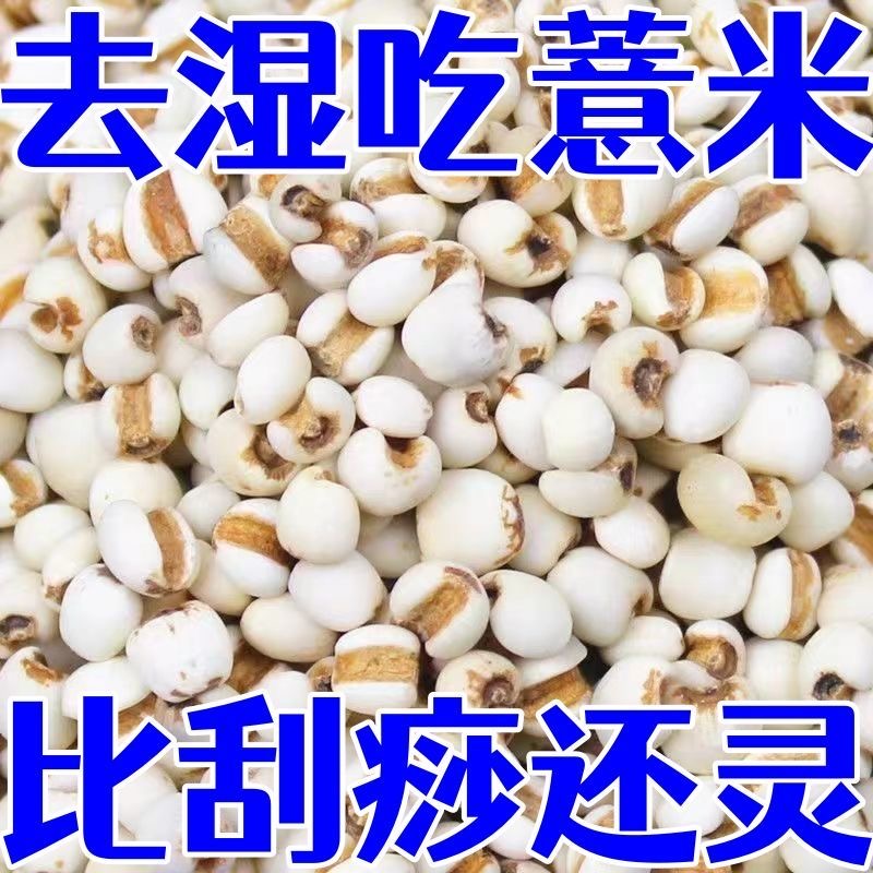 正宗薏米仁新货特级优质米仁贵州兴仁大薏仁商用散装豆浆五谷杂粮
