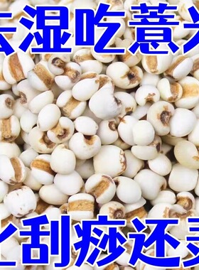 正宗薏米仁新货特级优质米仁贵州兴仁大薏仁商用散装豆浆五谷杂粮