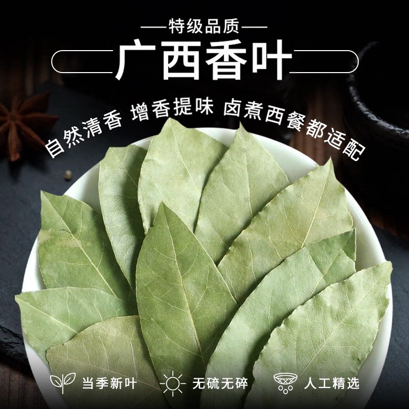 香叶正宗广西香料头茬新货官方旗舰店无硫天然月桂叶香料调味卤料
