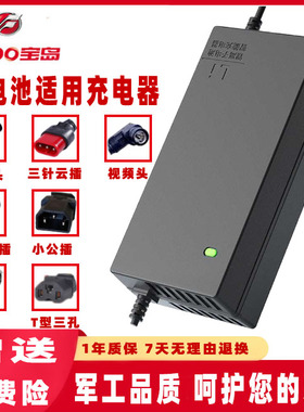 宝岛新能源电动车锂电池充电器48V60伏72V54.6V71.4V73V84V2A3A5A