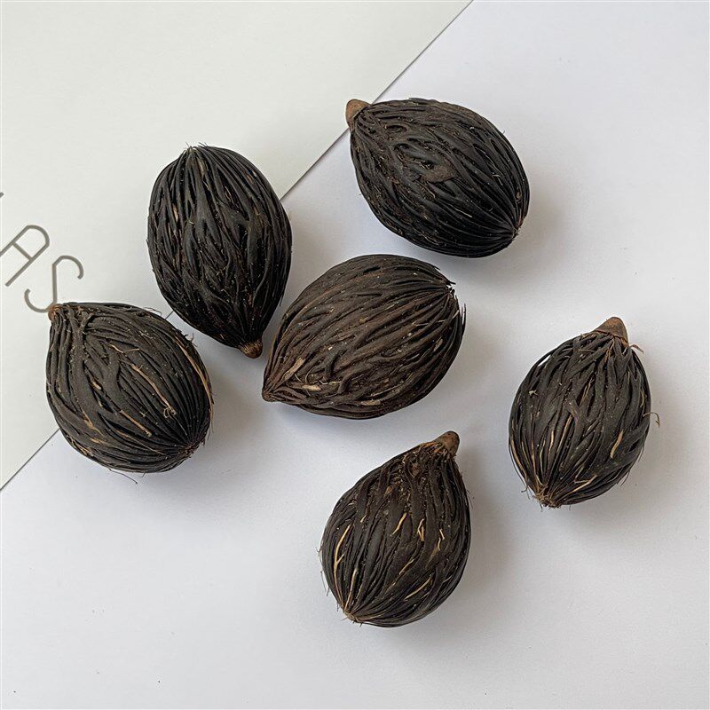 【千丝果】香薰香包香袋填充干花果实 植物干果装饰 天然干花装饰