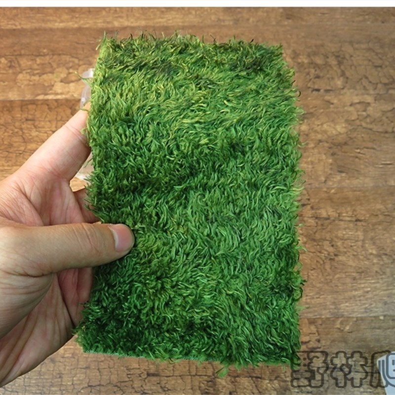 爬宠角蛙宠物蛇饲养盒寄居蟹青蛙蜗牛饲养箱睫角豹纹守宫水乌龟缸