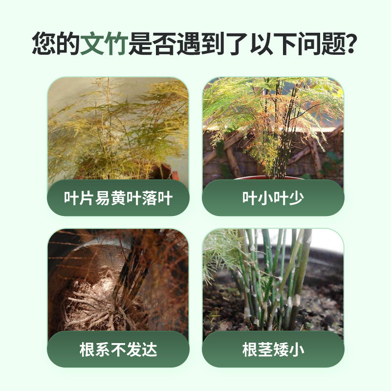 花肥谷文竹专用营养液促生根防黄叶家用盆栽按压式高浓缩水溶肥料,鲜花速递/花卉仿真/绿植园艺,家庭园艺肥料,淘宝优惠券,粉丝福利购,淘宝优惠卷