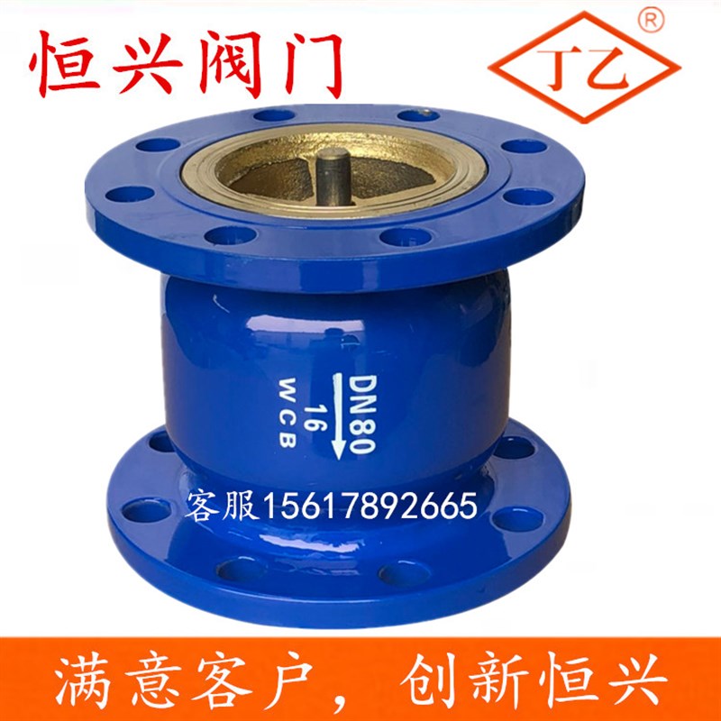 HC41X-16法兰消音消声止回阀立式卧式碳钢单向阀DN80 100 150 200